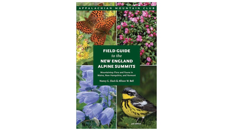 Ntl Book Network Amc Fg New England Summits 3ed 9781934028889