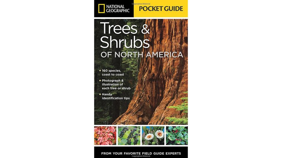 Skyhorse Pocket Guide To Wild Mushrooms 9781620877319