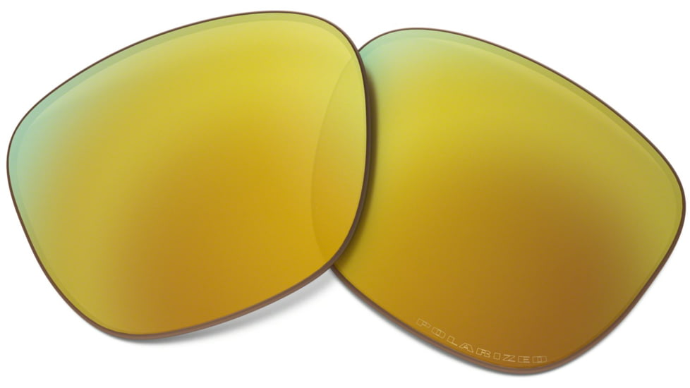 Oakley Enduro Polarized Replacement Lenses 100-872-003
