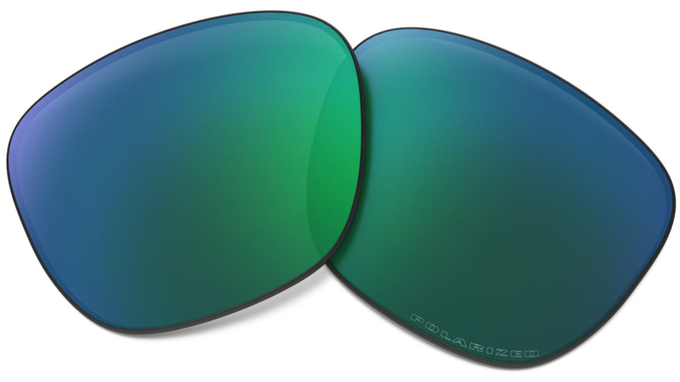 Oakley Enduro Polarized Replacement Lenses 100-872-013
