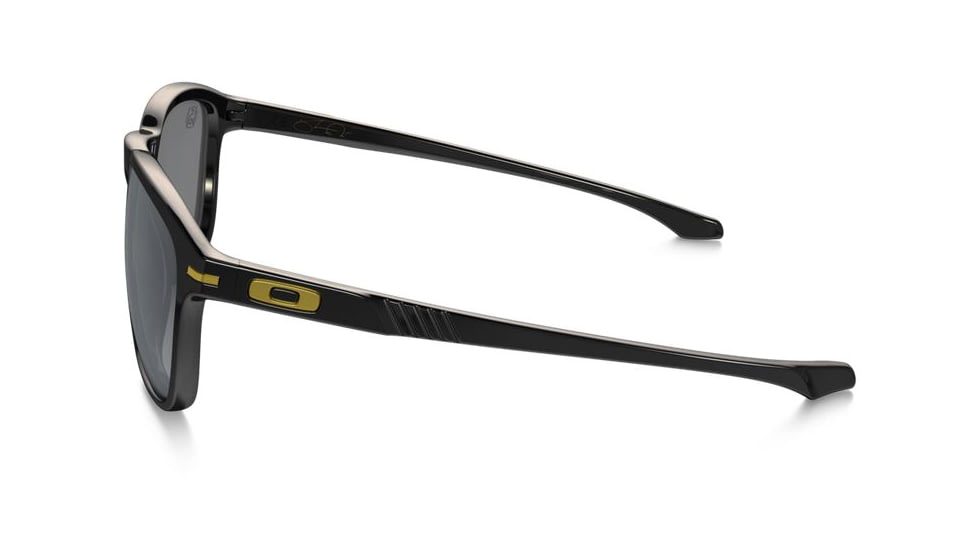 Oakley Enduro Sunglasses SW Collection Polished Black Frame, Black Iridium Polarized Lens-OO9223-05