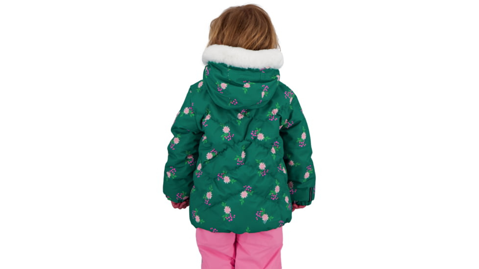 Obermeyer Roselet Jacket - Girls, Wintergreens, 4, 51075-21058-4