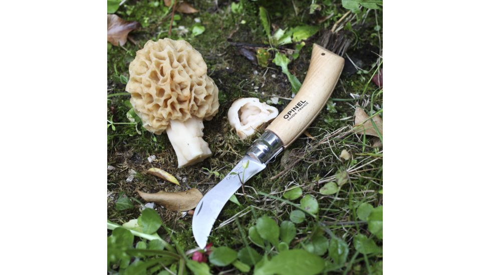 Opinel Mushroom Knife No.8, 4 3/8in., Wood, 001252