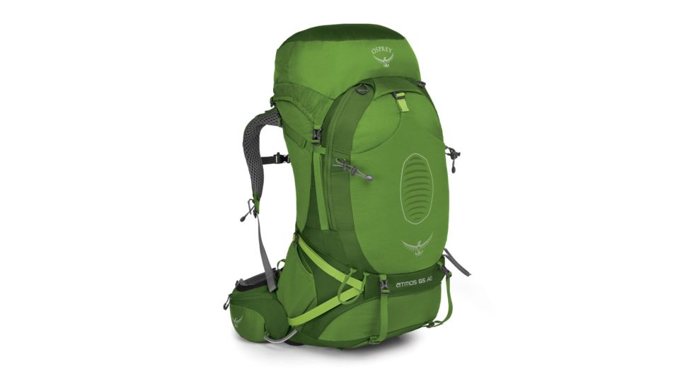 Osprey Atmos AG 65 Pack - Men's, Absinthe Green, Large, 198025
