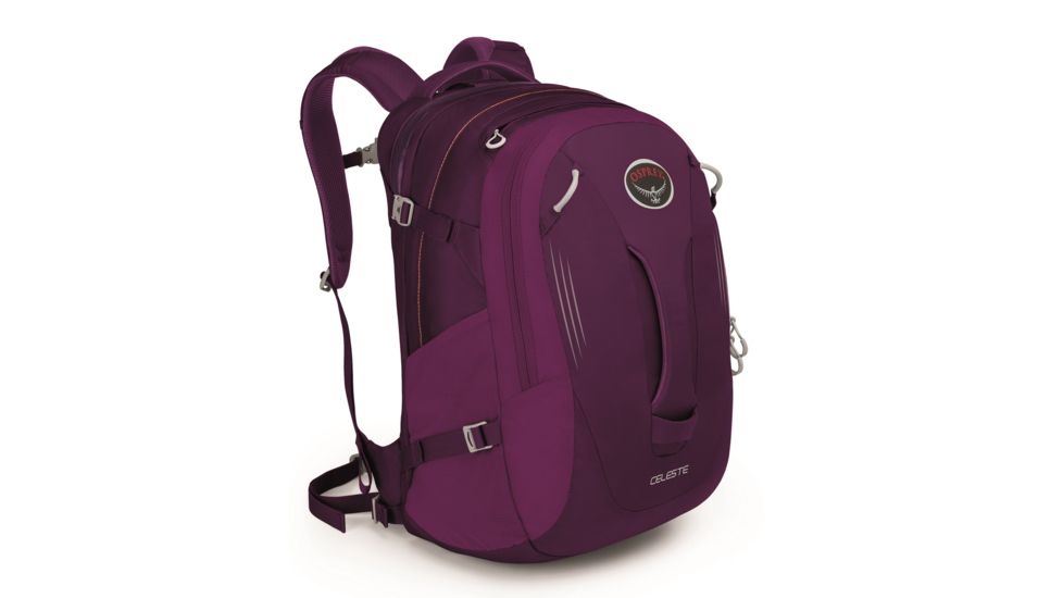 Celeste 29 Pack -Pomegranate Purple