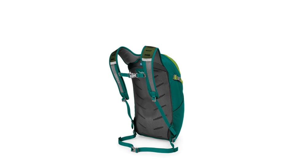 Osprey Daylite Plus Pack, Hostas Green, One Size, 10002790
