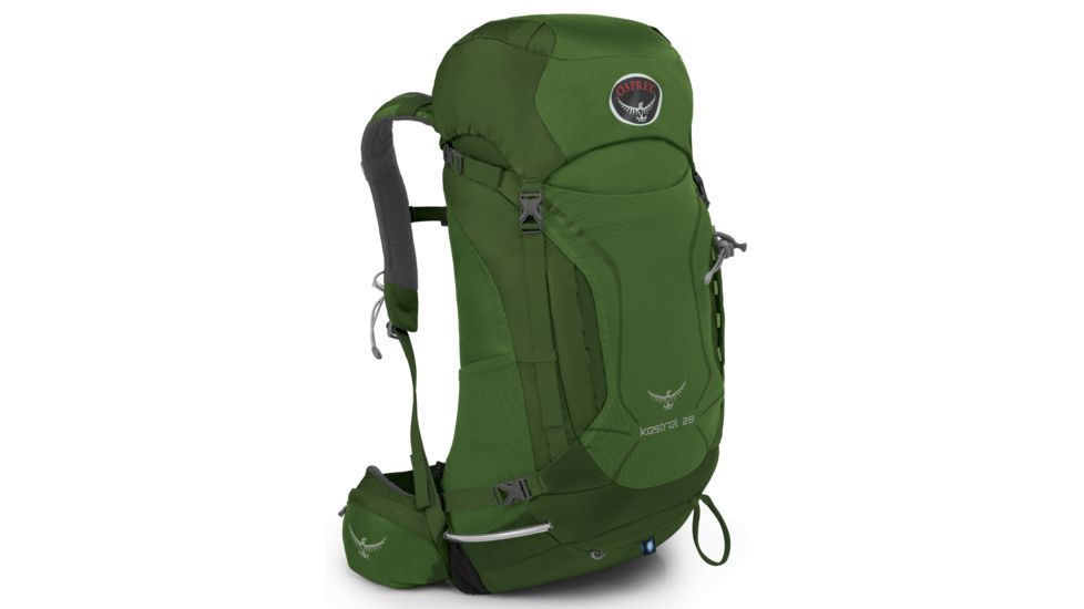 Osprey Kestrel 28 L Men's Backpack-M/L-Jungle Green