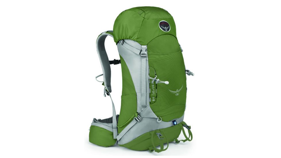 Osprey Kestrel 38 Pack-Conifer Green-S/M