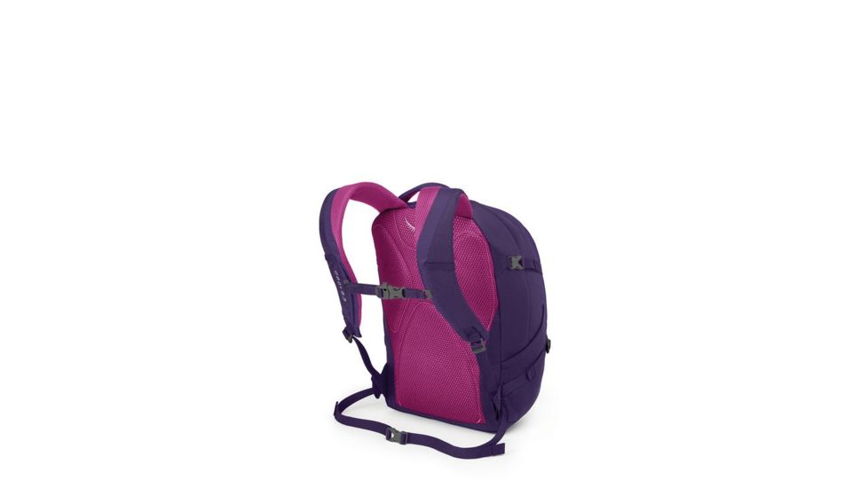Osprey Perigee Backpack, Mariposa Purple, One Size, 10000582