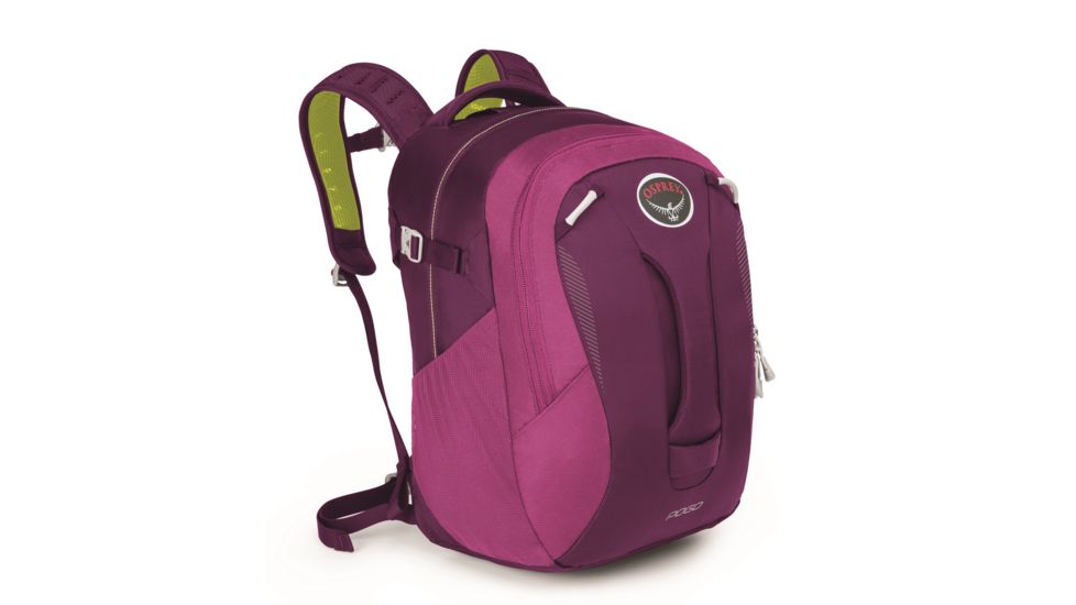 Pogo 24 Pack -Playful Purple
