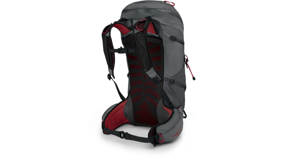Osprey Talon Pro 30 Pack, Carbon , Small/Medium, 10002575