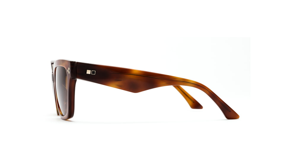 OTIS OSKA Sunglasses, Trans Tortoise Haze/Brown Polar, 54-21-145, 132-2001P