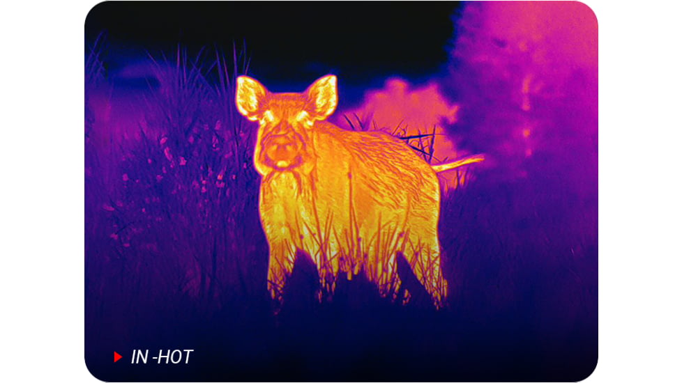 PARD Optics Ocelot 256 2-2.9x19mm Thermal Imaging Monocular, 50hz, 256x192, Black, OC2-19