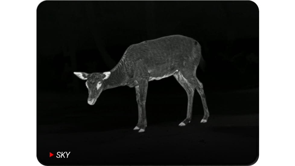 PARD Optics Ocelot 256 2-2.9x19mm Thermal Imaging Monocular, 50hz, 256x192, Black, OC2-19