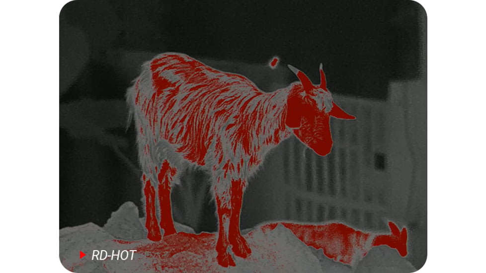 PARD Optics Ocelot 256 2-2.9x19mm Thermal Imaging Monocular, 50hz, 256x192, Black, OC2-19