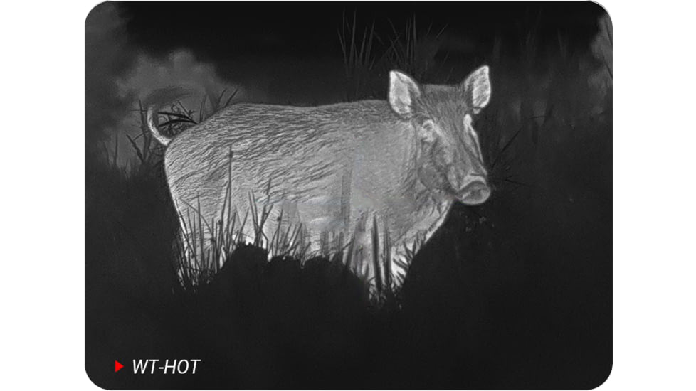 PARD Optics Ocelot 256 2-2.9x19mm Thermal Imaging Monocular, 50hz, 256x192, Black, OC2-19