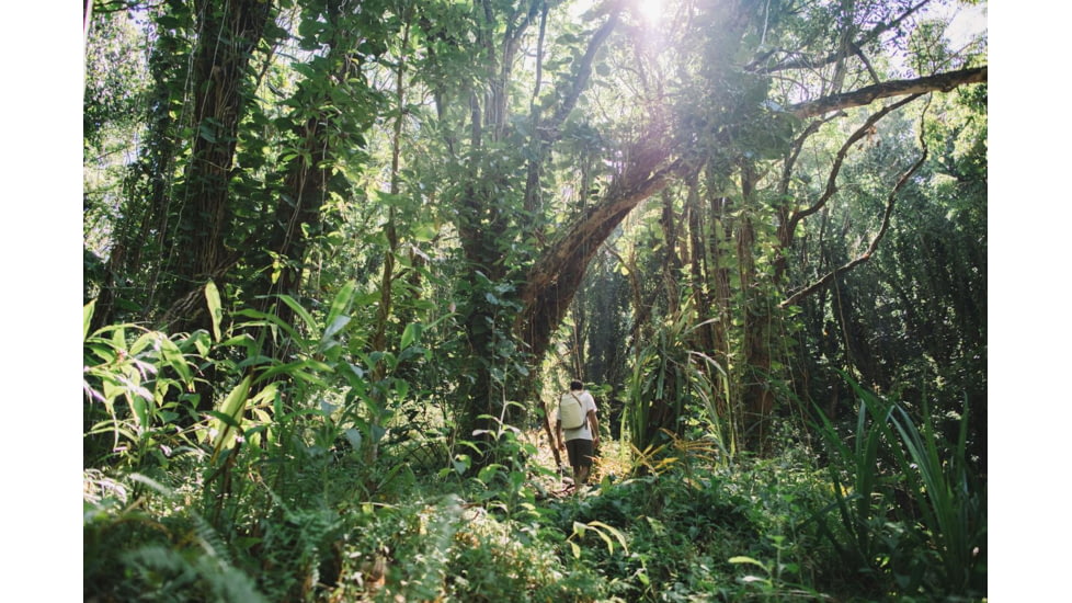 Peak Design V2 Everyday Totepack, 20 Liters, Bone, BEDTP-20-BO-3