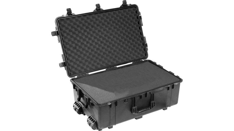 Pelican 1650 Protector Case, Black - 016500-0040-110