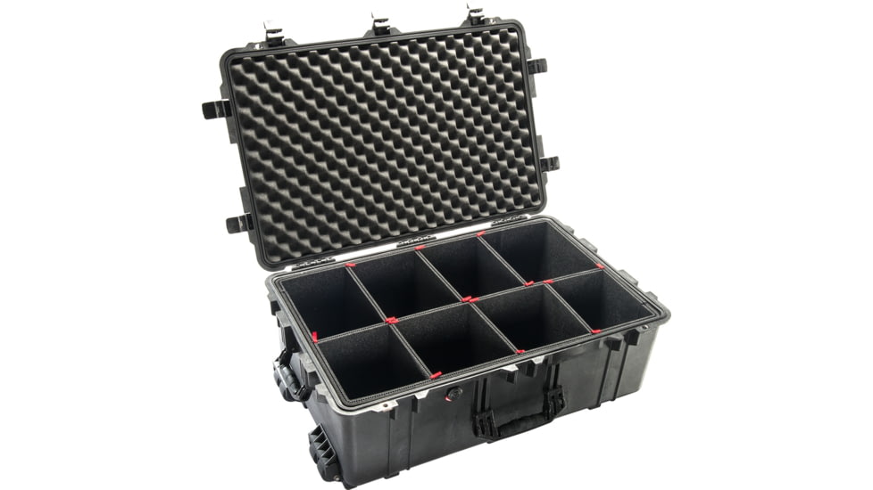 Pelican 1650 Protector Case, Black - 016500-0040-110