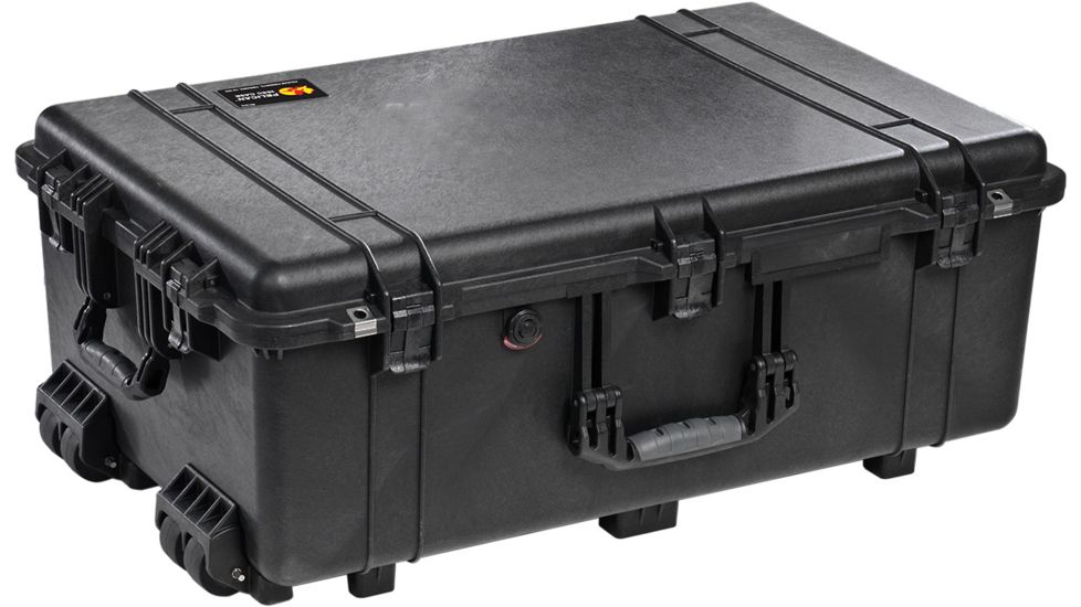 Pelican 1650 Protector Case, Black - 016500-0040-110
