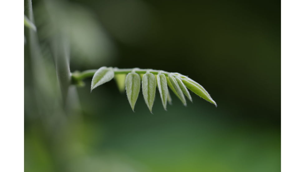 Pentax HD-D FA Macro F2.8ED AW Camera Lenses, 100mm, Black, 20320