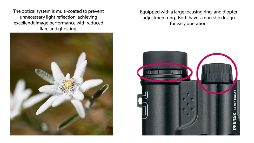 Pentax UD 10 X 21mm Black Compact Roof Prism Binoculars, Black, Medium, 61816