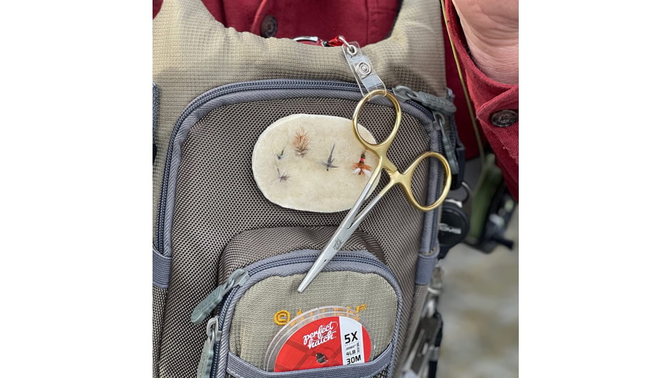 Perfect Hatch Stainless Steel Forceps Scissor, 6in, Gold, PH-A-SFS-G06