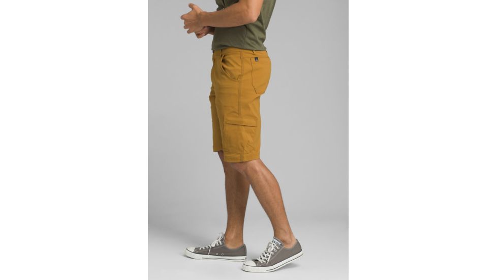 prAna Stretch Zion Short - Mens, Bronzed, 28 Waist, 10 inch Inseam, M3ST10117-BRZD-28