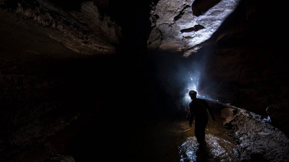 Princeton Tec APEX Pro 650 Lumens Headlamp, Black/Dark Gray, APX21-PRO-BK/DK