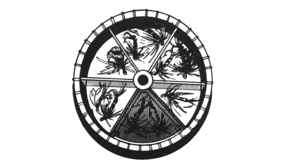 Pucci Fly Assortment