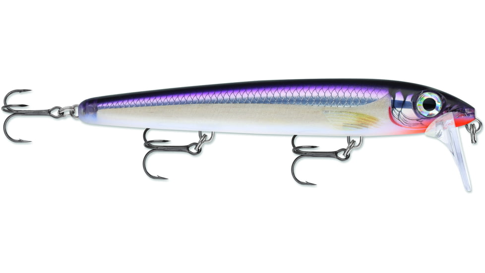 Rapala Bx Waking Minnow, Floating, Purpedescent, 5 1/4in, 3/4oz, BXWM13PDS