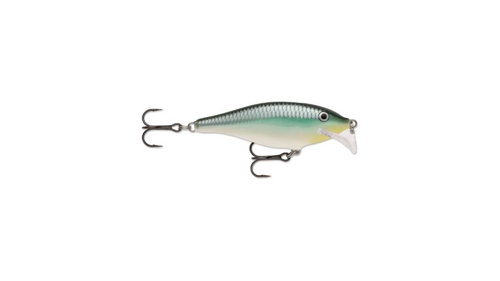 Rapala Scatter Rap Shad Crankbait, 2 3/4in, 1/4 oz, Floating, Blue Back Herring, SCRS07BBH