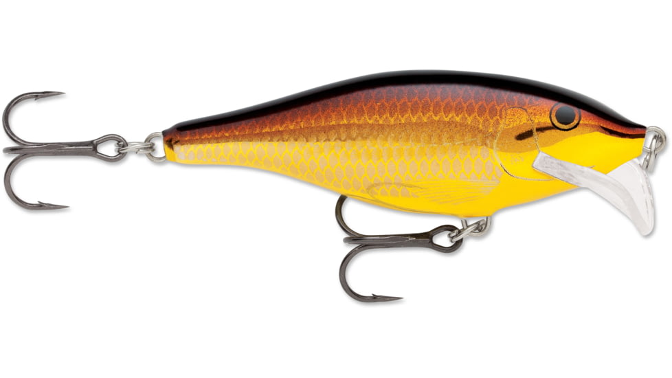 Rapala Scatter Rap Shad Crankbait, 2 3/4in, 1/4 oz, Floating, Golden Alburnus, SCRS07GALB