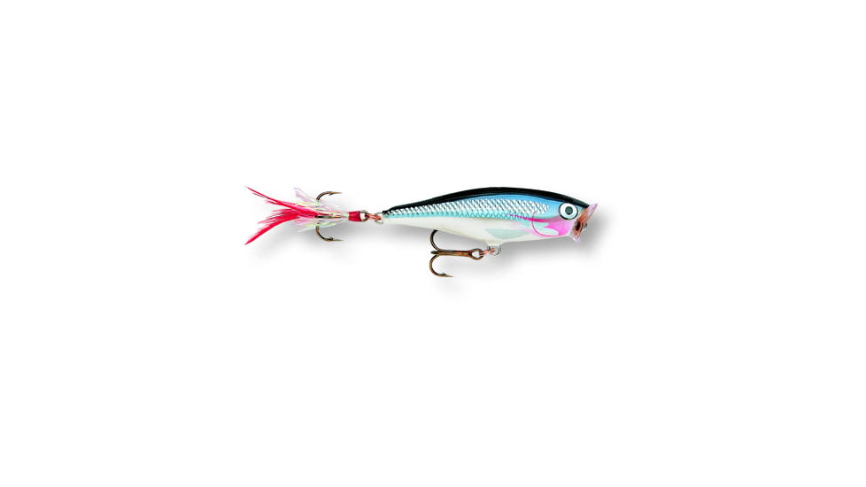 Rapala Skitter Pop Topwater Lure, 2 3/4", 1/4 oz, Shad, Floating, SP07SD