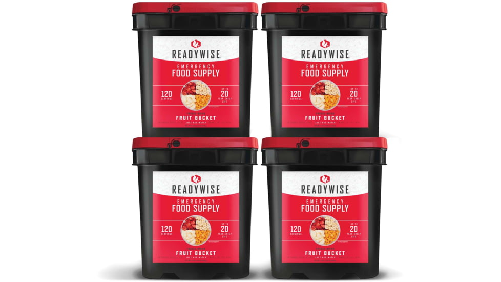 ReadyWise Freeze Dried Fruit Bundle, 480 Servings, RW40-50480