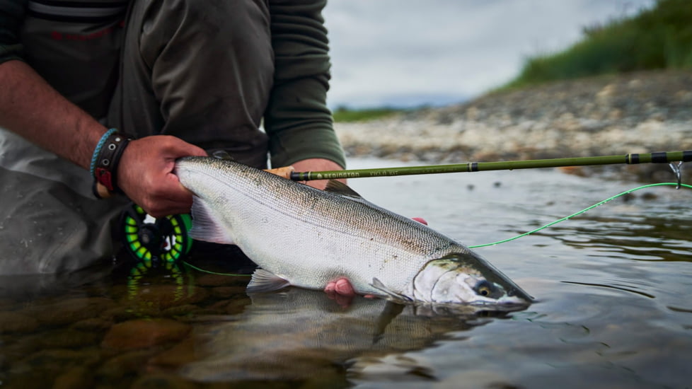 Redington Field Kit - Salmon, 9, 5-5033K-890-401
