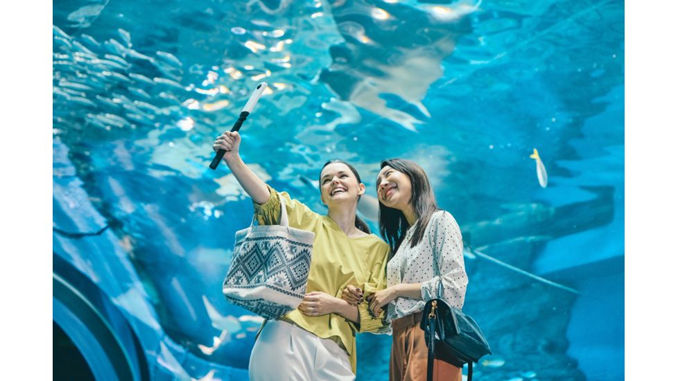 Ricoh Theta SC2 Digital Camera, 4K, 360-degree, Spherical, Compact, White, 910800