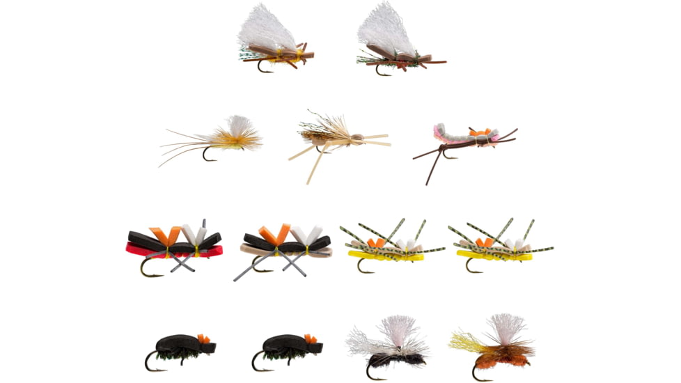 RIO Products Terrestrial Assortment, 6-F32367