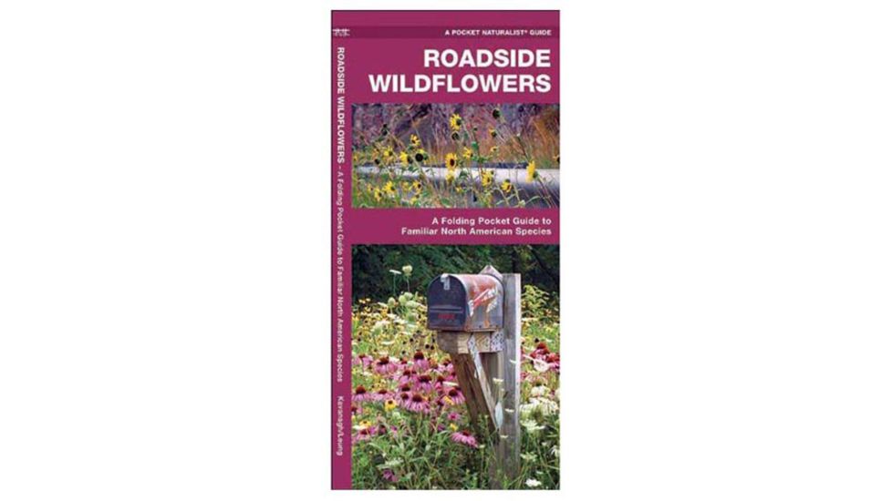 Roadside Wildflowers, James Kavanagh, Publisher - Globe Pequot Press