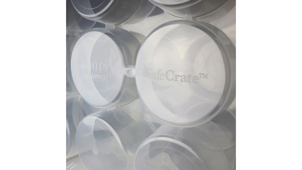 Roots &amp; Harvest SafeCrate for Pint Jars, White/Clear, Small, 1160