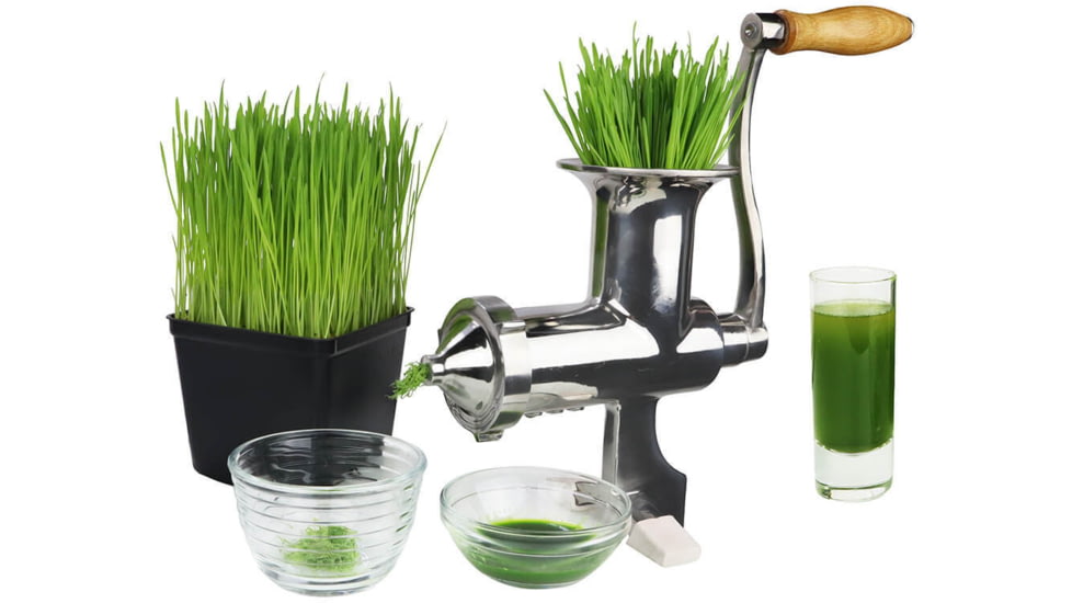 Roots &amp; Harvest Wheatgrass Juicer, Stainless Steel, Small, 1502