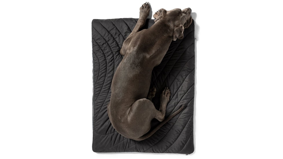 Rumpl The Travel Dog Bed, Loki, Big, TTDB-LOK-B