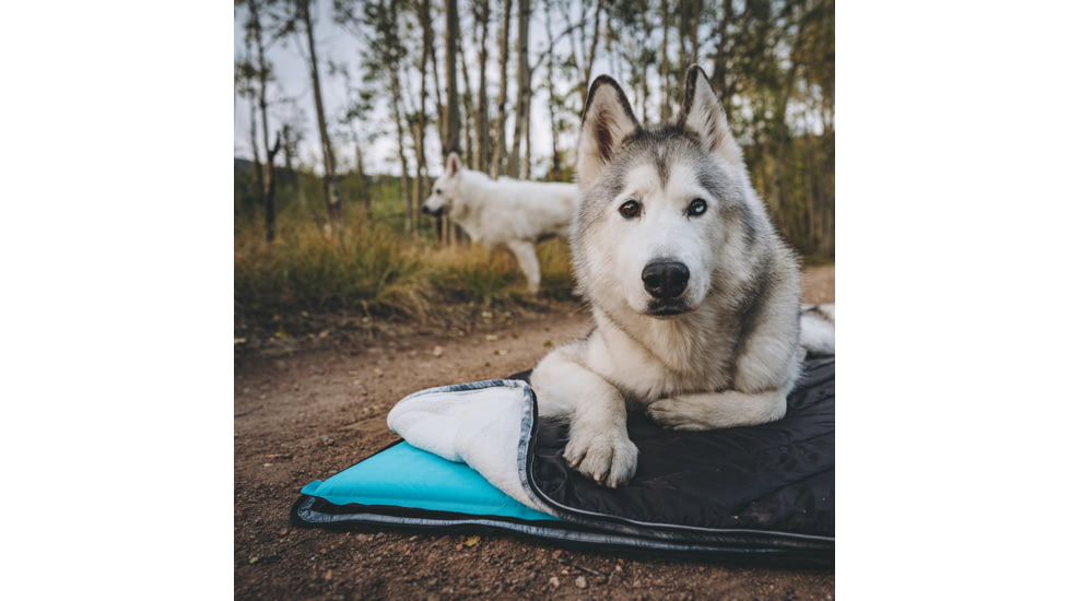 Rumpl The Travel Dog Bed, Loki, Big, TTDB-LOK-B