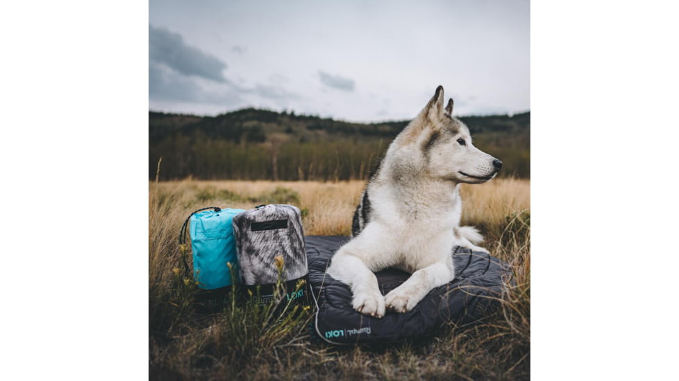 Rumpl The Travel Dog Bed, Loki, Big, TTDB-LOK-B