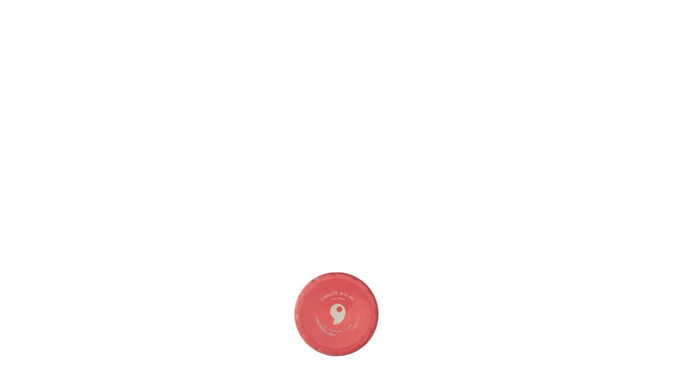 S'ip Lucky Ladybug Bottle, 15oz 20015-B18-05965