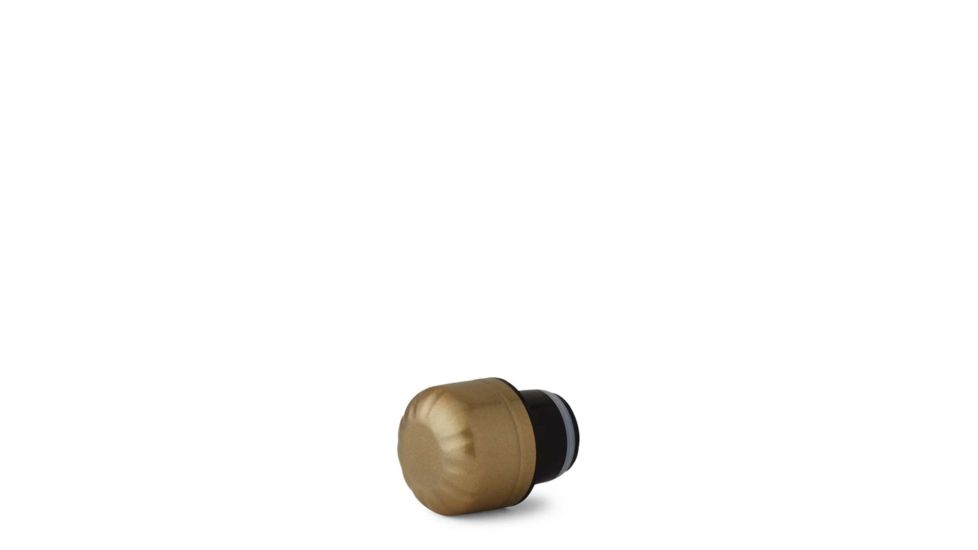 S'well Sparkling Champagne Cap, 9/17oz SCAP-CHMP
