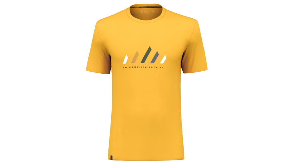Salewa Pure Stripes Dry T-Shirt - Men, Extra Small, Gold, 00-0000028639-2190-XS