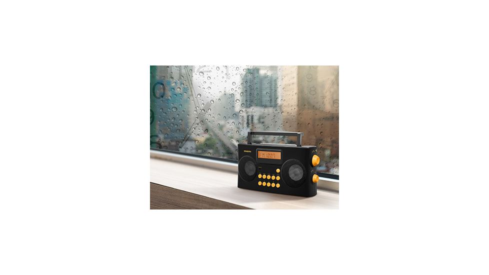 Sangean AM/FM-RDS Portable Radio Specially Designed for the Visually Impaired with Helpful, Black, PR-D17