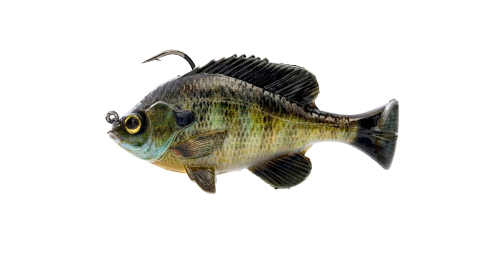 Savage Gear Pulse Tail Bluegill RTF Soft Bait, Pack of 1, 3in, Bluegill, 1586270