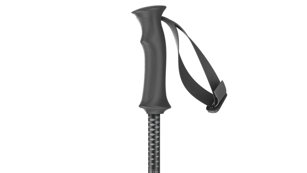 SCOTT Element Poles - Junior, Black, 38in, 2915090001095